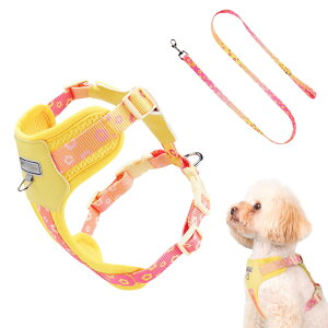 ybgn[lX | Up hbOn[lX - ʋC \ Eh~ ^^Ή p Jo[T|[g