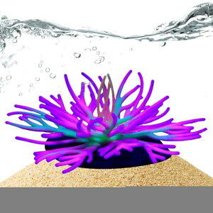 ANAEi, VR[ TS I[ig, lHipA WECp ze Ap[g  Ή