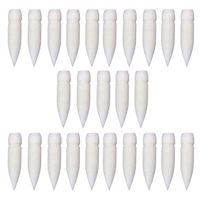 AN}[J[y, 25{Zbg tB\yCgyju, ϖՐ A[gpi CXg[^[ w OtBeBA[eBXg