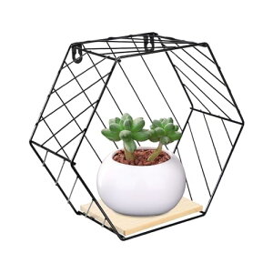 Ǌ|oX[VFt | Ǌ|Zp`fUC[bN | A  ʐ^ RNVp̔IfUC[I[KiCU[