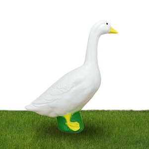 K[fpAq, OpIuWF,  18cm AȃtBMA  oRj[  peBI Ő z[[h