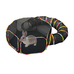 AEghALbgGN[W[, |[^uAEghAN[YhbOP[WpybgbVtFX, ܂肽ݎIbNXtH[hn̎qLpvCy