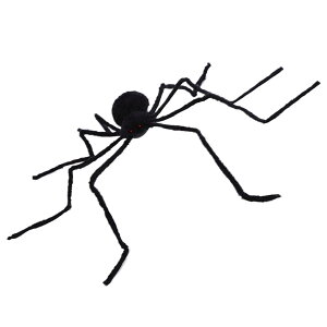 nEB N -  A sC lHN,dr U ʂ݂ sCȃz[ebhnEX xp EO