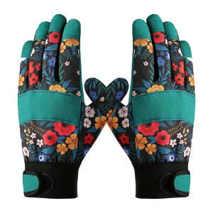 [birdusunce] p K[fjO  | p ϖՐ  O[u - Lk ƃ~g A @  C pr