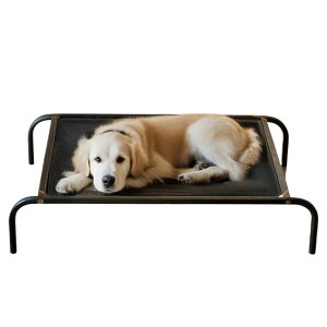 hbOxbh | qp ʋC Rbg,^^ Lp s Lv  oRj[Ή Opxbh