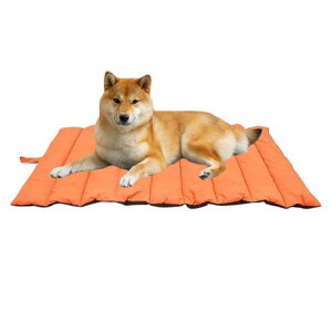 pLvxbh - ʎg\t@[xbhuPbg,RpNgő@\ȃAEghAybguPbg