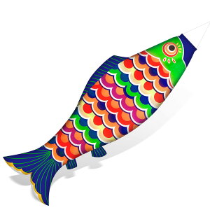 ish indsock ϋv C`  JCgtbO \bNX {̌ ̂ڂ  `IȒ݂艺 O ƒ  p (ƐԐF)