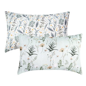 ormlony Xgb`~js[P[X fUCA pbN _炩 LbY c Jo[ j̎qƏ̎qp - x C` ()