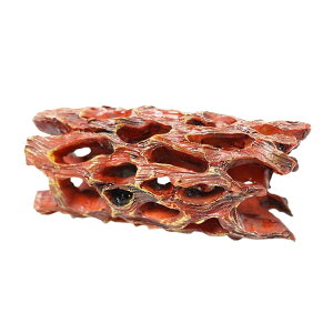 pVvB | EVvnChnEX - 肵B ^n x^EJjxep?