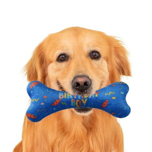 pʂ,̒a{[Cpo_i ybggC | ߉\ȏ_炩pXJ[t Op` ^ybgpi U WMO Op