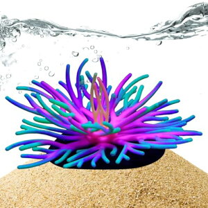 ANAEi | VR[ _炩X葕 ANZT[,ÏANAEA zeEEAp[gEƒp