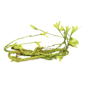 ঒ރNC~Ou` | lHȂϗtAfR[V | cm p J hJ ^` tgASqQgJQ JI JG Ή