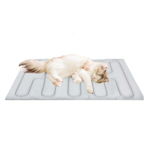 p}bg - |GXehybgN[pbh|XNb`R܂肽ݎLp}bgAOsLv̂߂̃P[WxbhƋJo[