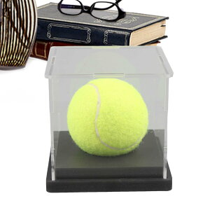 싅fBXvC | x[X{[P[XW - AN ho X|[c ~j{[ [  X^h P[X RN^[ t@ ̓ 蕨 Q[[ xbh[  C