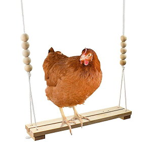 jgp | ؐjg Gb`gpi - ybgpi t@[WOz[X^[g