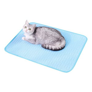 pp}bg | ~߃ACXVNpuPbg |  Q peBI  ItBXpybgNbV