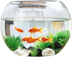  KX  rOp{[ ^ eʐ  eE ی^ eʃVN  (Size : CM)