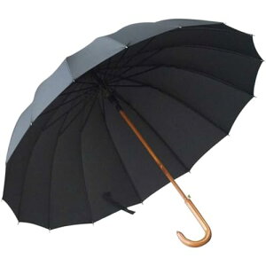 P P JP Y fB[X amP v 傫ȎP {P y aP ϕP OXt@Co[ ϕ  ~J΍ J΍ ʋΒʊw