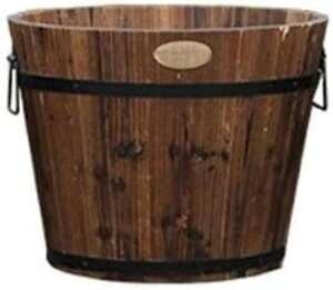 AؔؔnIȌÂYۃoRj[ؔW[XAe