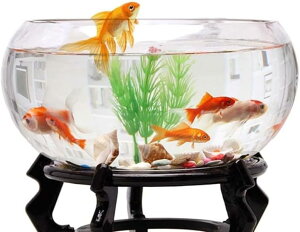 A~`AKXJAۂ݂̂铧ȐԑnIȑiAAAȉƒp (20)