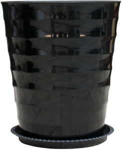 ˂ݖ͑Z~bN|bgvX`bN̑傫ȐAؔoRj[傫ȔA̐Aؔ