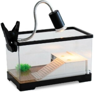 J^NƒpoRj[NC~OvbgtH[ԃANvX`bN{bNXzrO[^