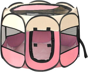 p`̃ybgtFX ybgeg h~ ܂肽ݎ pP[W  LpoY  L py ybgy p`̌ LpoY ܂肽ݎ ƔLɍœK bV