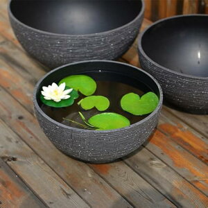  ^ O vX`bN̖͑ @ y ɂ  _J A  r (O[,a45*23cm)