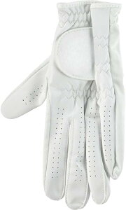 ׂăV[vXL̃StO[uA_炩KAjƏ̃X|[cO[uAЎA~߁AϖՐAʋC