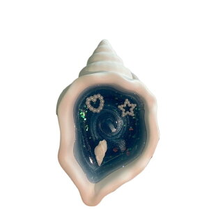 C̕TUGA}LhLkLhav[g (Cgu[-2 (13×13×2.5cm))