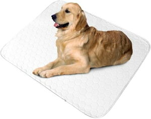 􂦂ybgV[cChTCYApbhybg}bgS̐\ėp\