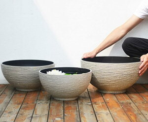  ^ O _J  vX`bN̖͑ @ y ɂ  _J A  r  vX`bN ^Aؔ A