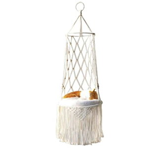 L݂艺L݂艺xbhӂ̑O\ȔLnbN݂艺oXPbguR (a40 cm,2zCgiNbVȂj)