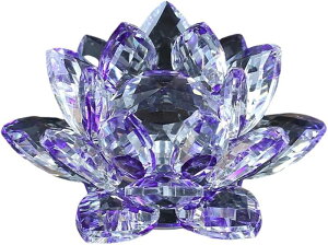 NX^KX  @̉ [^X TLb`[  J^ CeA vY d  IuWF Mtg v[g (O[)