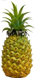 �t���[�c�T���v�� �p�C�i�b�v�� 1 �� ���A���ł��킢���H�i�T���v�� �J���t�� �f�X�N�g�b�v�E���������ɍœK �P�[�L�V���b�v�E�t���[�c�n�E�X�̃f�B�X�v���C �w�Z�����E���������ɂ�