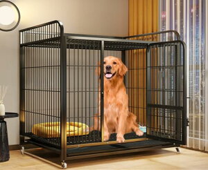 yz pQ[W t ^E^Ή LX^[t og[t ϋv gȒP  OpB5