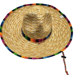 [] �S�[�O���t�� �X�`�[���p���N�� �m�x���e�B �S�V�b�N �g�b�v�n�b�g �L�� �n���E�B���E�p�[�e�B�[�p �R�X�`���[���n�b�g R5