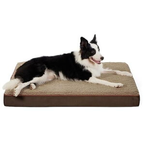 ?p?,??u?],??,f?h,?? ^^p hh (M, F+DF)