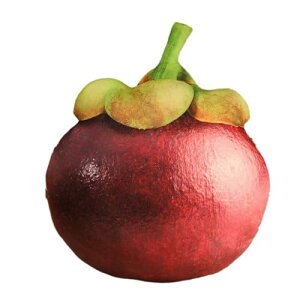 yzʕ t[c ʂ 3D D A 傫 { Hו  킢  QNbV _炩  F TCY q̃Mtg  YQ ܂ w 