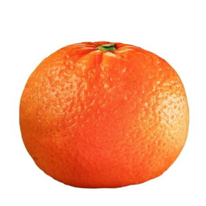 yzʕ t[c ʂ 3D D A 傫 { Hו  킢  QNbV _炩  F TCY q̃Mtg  YQ ܂ w 