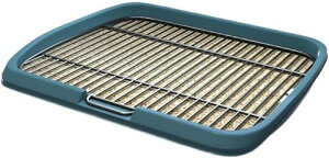 yzpgC XeX| ChTCY ^E^ g[jOpbht Op ybggC   ȒP|E\ N5