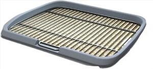 yzpgC XeX| ChTCY ^E^ g[jOpbht Op ybggC   ȒP|E\ N5