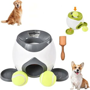 yzp̌p{[`[ C^NeBuȃejX{[}V ꂽߋŁA^ƒ^ɐ݌v Ԏɂy߁AHh~ɂ𗧂 mߋ