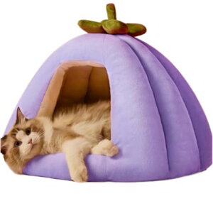 LbgnEXxbh  LpNbV tďH~Ή 􂦂\t@ Vp ȒP ʋC Ȃ gsJ  qLp  O\Jo[t 