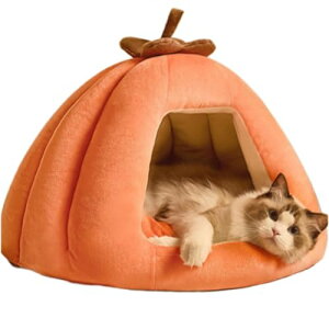 LbgnEXxbh  LpNbV tďH~Ή 􂦂\t@ Vp ȒP ʋC Ȃ gsJ  qLp  O\Jo[t 