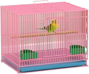 yzXeXg ^ |₷ ^ ZLZCECRp o[hP[W P[WH5