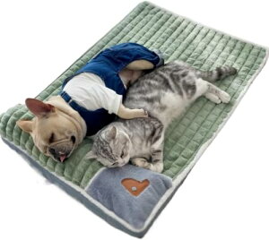 yzLp ėp 􂦂 ~ _炩 xbh NbV t}bg ybgxbh ybg}bg y K  L ^ ^ ^  |₷ lGΉH5