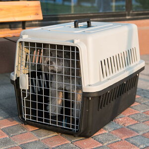 [] 2 ybgPl L  ubN qA{bNX LsOL[ s  |[^u LP[W  ybgpi AEghA h n[h^Cv ybgL[ M L[