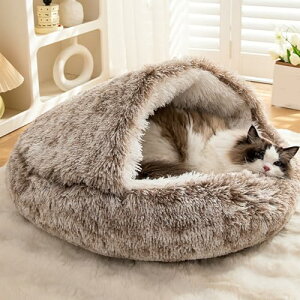 [] L  NbV xbh ӂӂ ybgxbh NbV g 薰 ݌v2 ~ ې I[V[Y \t@[ Q ӂӂLp 80cm \t@[ ʔN H ~ ybg