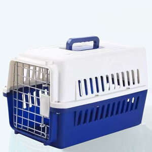 [] ybgL[ L n[h ybgL[ Q[W n[hL[ t pnEX ^pN[g L qAΉybgL[P[X   ^ Q[W Ls